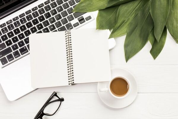 Caderno e planta sobre secretária clara
