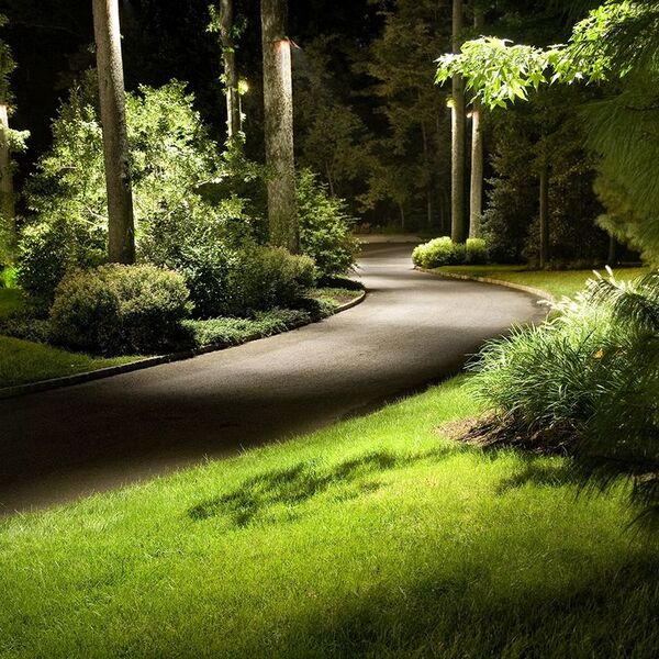 Caminho verde em parque com luz suave